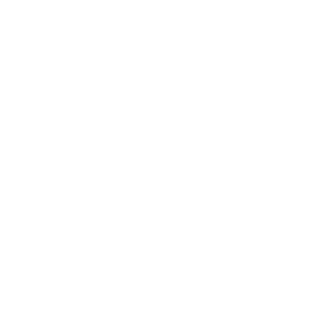 Logo SE